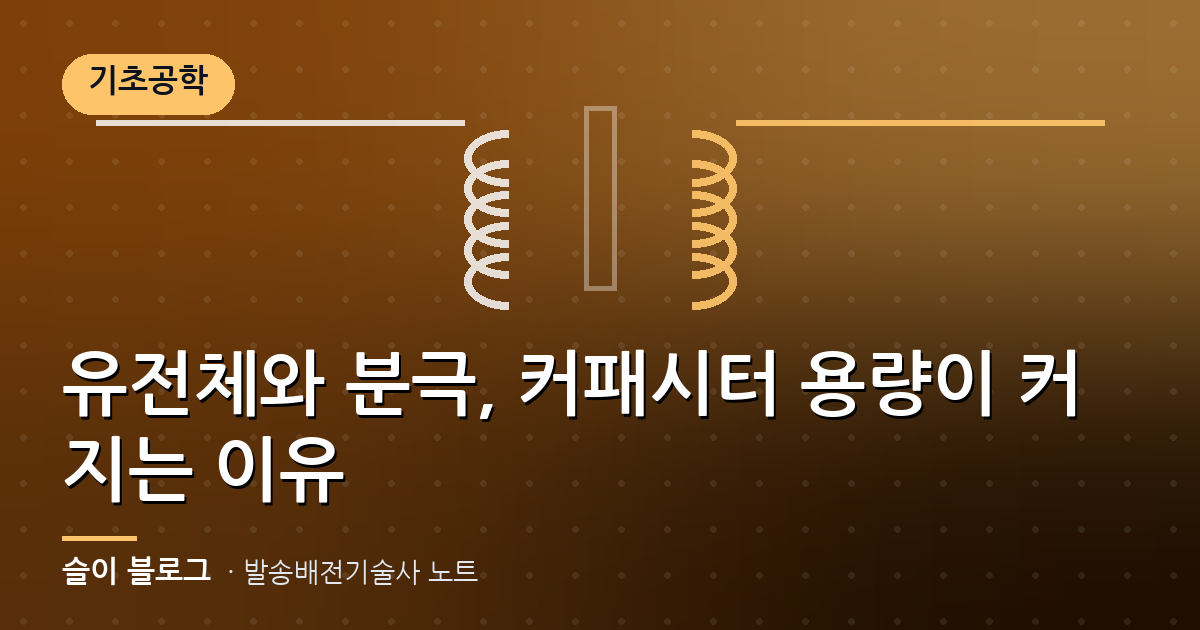 유전체와 분극, 커패시터 용량이 커지는 이유